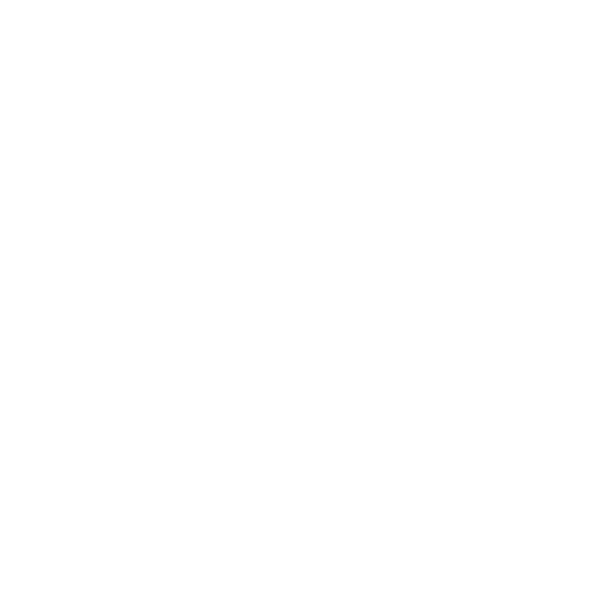 Southern Spur Boutique